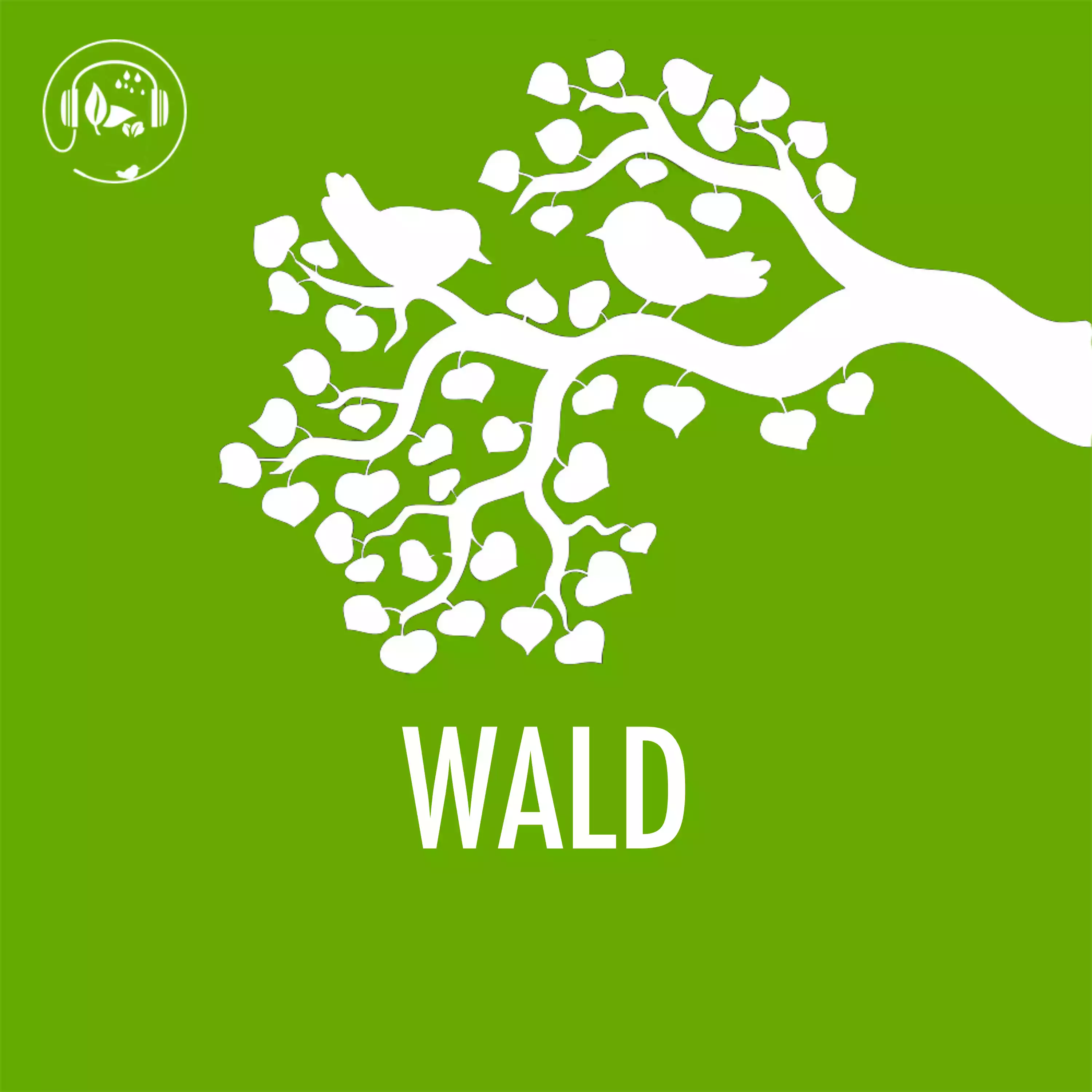 Cover Waldgeräusche zum Einschlafen